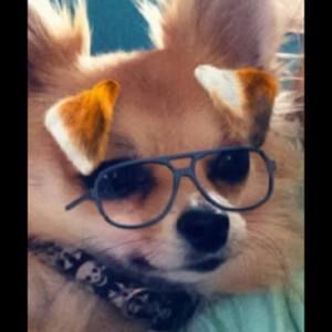 Meet your Posher, Emma